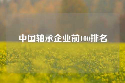 中國軸承企業(yè)前100排名