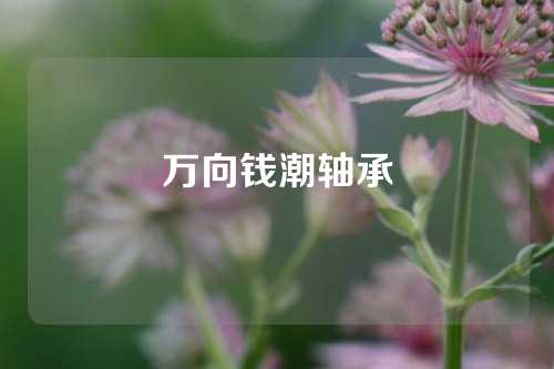 萬向錢潮軸承