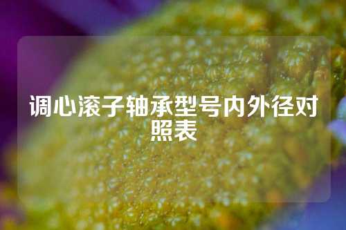 調(diào)心滾子軸承型號(hào)內(nèi)外徑對(duì)照表