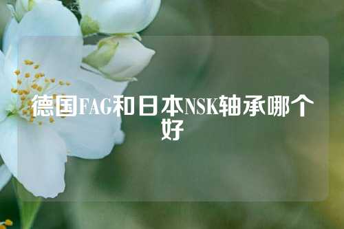 德國FAG和日本NSK軸承哪個(gè)好