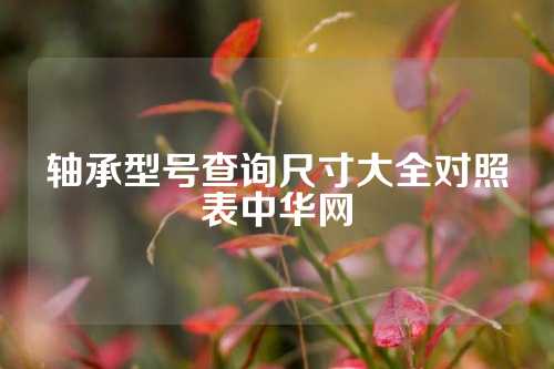 軸承型號查詢尺寸大全對照表中華網(wǎng)