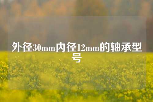 外徑30mm內(nèi)徑12mm的軸承型號(hào)