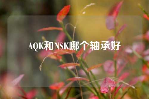 AQK和NSK哪個(gè)軸承好