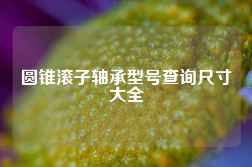 圓錐滾子軸承型號(hào)查詢(xún)尺寸大全