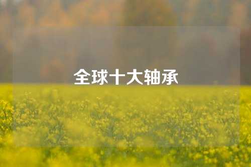 全球十大軸承