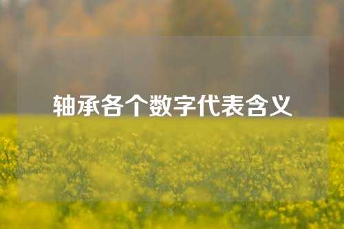 軸承各個(gè)數(shù)字代表含義