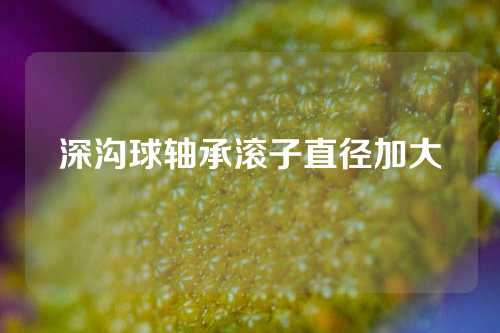 深溝球軸承滾子直徑加大