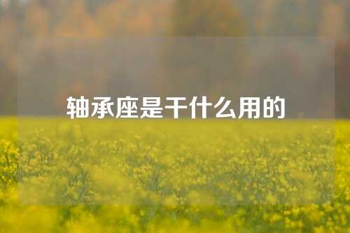 軸承座是干什么用的