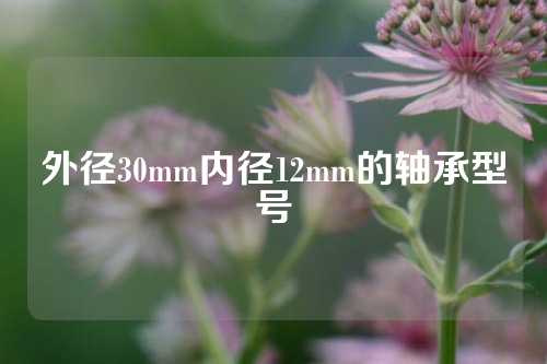 外徑30mm內(nèi)徑12mm的軸承型號(hào)