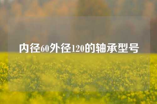 內徑60外徑120的軸承型號