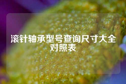 滾針軸承型號(hào)查詢尺寸大全對(duì)照表