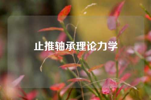 止推軸承理論力學(xué)