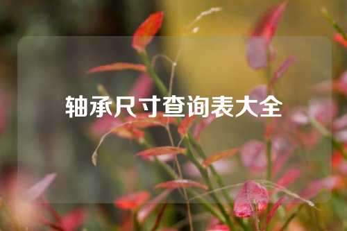 軸承尺寸查詢表大全