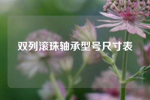 雙列滾珠軸承型號尺寸表